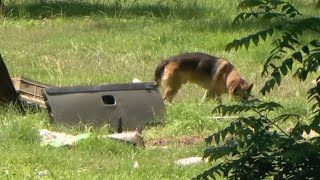 KSP concludes day 6 of search