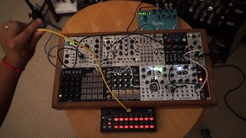 Exploring Modular Synths: Beginners Mind Episode 3: Basics of Sequencers (Rene and Korg SQ-1)