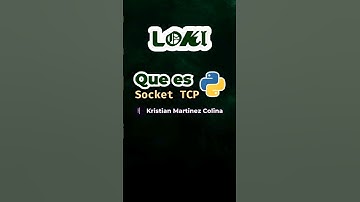 Que Socket TCP en Python explicado con Loki #tutorialpython