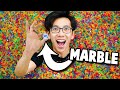 First To Find MARBLE In ORBEEZ Pool - $1,000 Challenge!