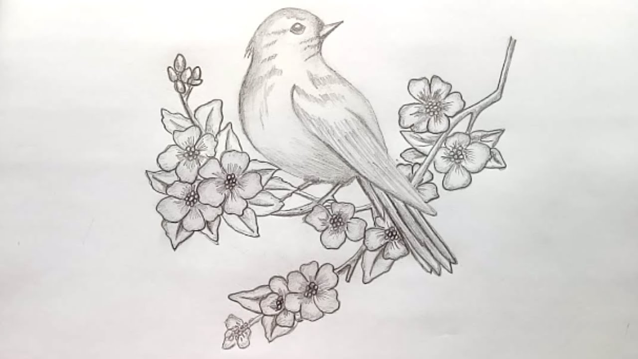 25 Beautiful Bird Drawings and Artworks from around the world