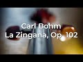 [HQ] Professional Recording of La Zingana Op. 102 by Carl Bohm for student practice - Lawfame Violin