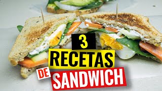 3 recetas de SANDWICHES SALUDABLES para DESAYUNAR - YouTube