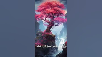 #بسم_الله_الرحمن_الرحيم #قرآن #آيات #دويتو #اكسبلور #ترند #لايك