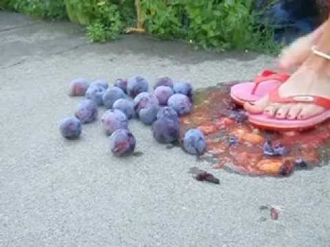 Plum CRUSH aka Plum Sause Roxy style!