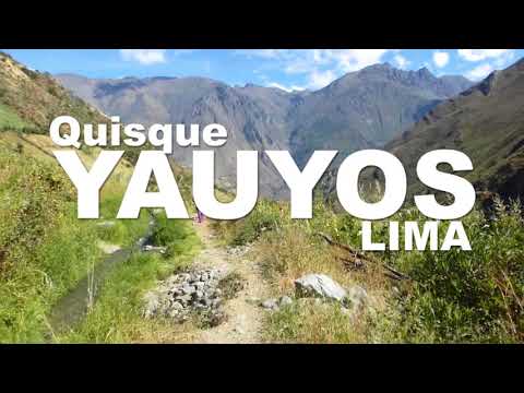 Quisque - Yauyos