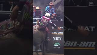 86 Points! Kurt Shephard vs Tropical Rash  #pbr #bullriding
