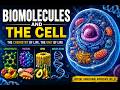 “Biomolecules and the Cell.”