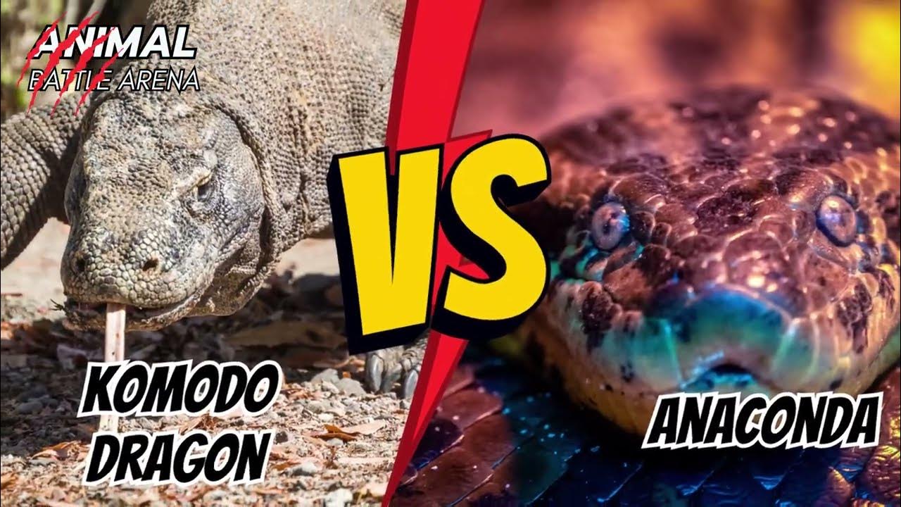 Komodo Dragon vs. Anaconda - Who Will Prevail? | 🐍 Animal Battle Arena