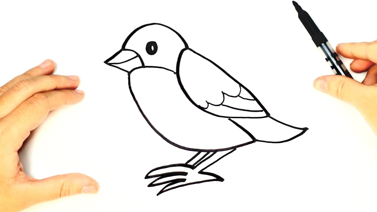 Como Dibujar Un Pajaro Paso A Paso Para Ninos Dibujo De Animales