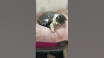 Random transitions pt. 2 #transition #shorts #shorts