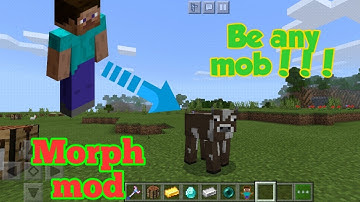 How to download Morph mod in Minecraft pocket edition