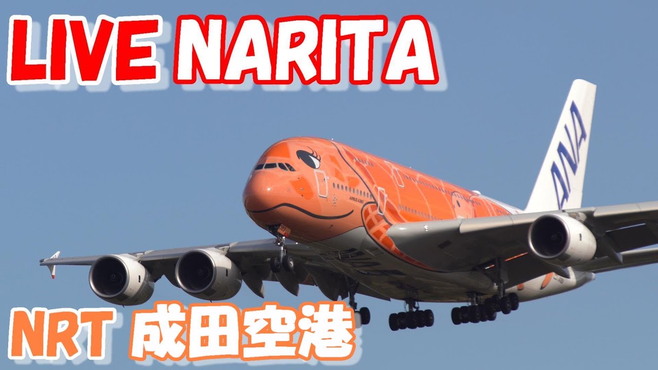 🔴LIVE at NARITA International Airport Plane Spotting