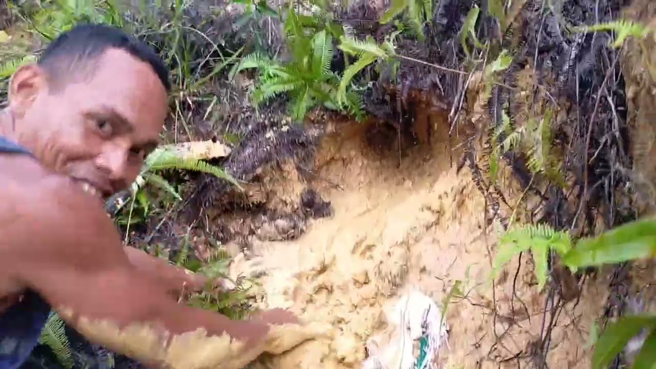 TERNYATA TANAH PERBUKITAN INI MENGANDUNG EMAS YANG BANYAK