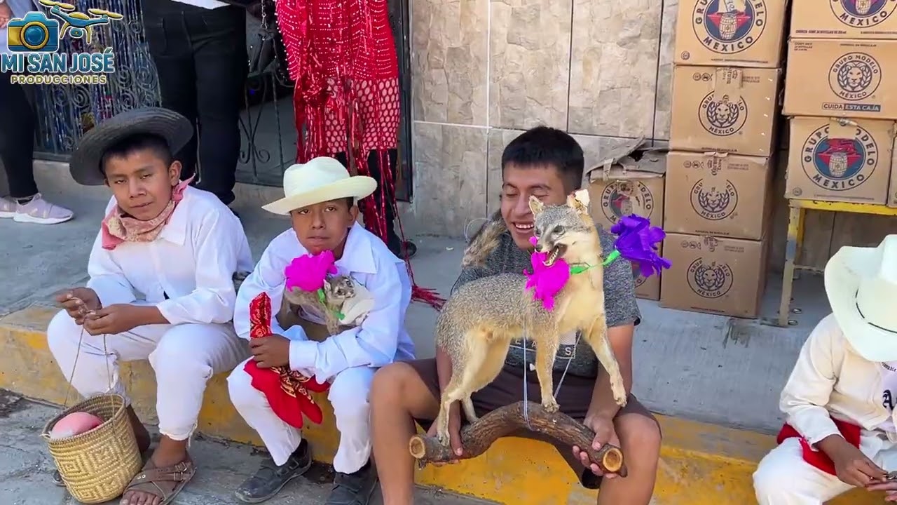 Mayordomia Soledad Desfile de Carnaval 4🎉