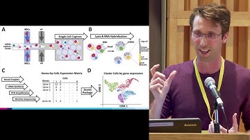 Accelerating Single-cell Bioinformatics with N-dimensional Arrays in the Cloud |  ISMMS