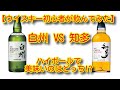 【ウイスキー初心者が飲んでみた】白州VS知多! ハイボールで美味しいのはどっち！？