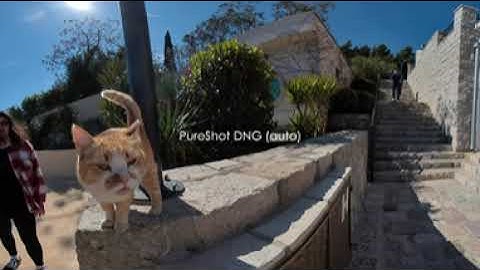 Insta360 One X2 PureShot Vs. Manual Color Grading | #360video