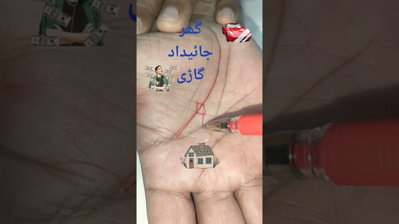 Own house car and property 