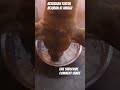 bezubaan kiSeva bejuban ki awaaz street dog animal prayagraj