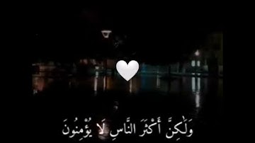 # القرآن الكريم ☘️#خالد الجليل #تلاوة خاشعة 🥺||حالات واتس اب _The Quran