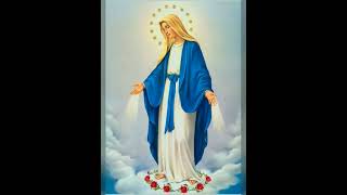 Oh Mary Holy Mother you were chosen by our God