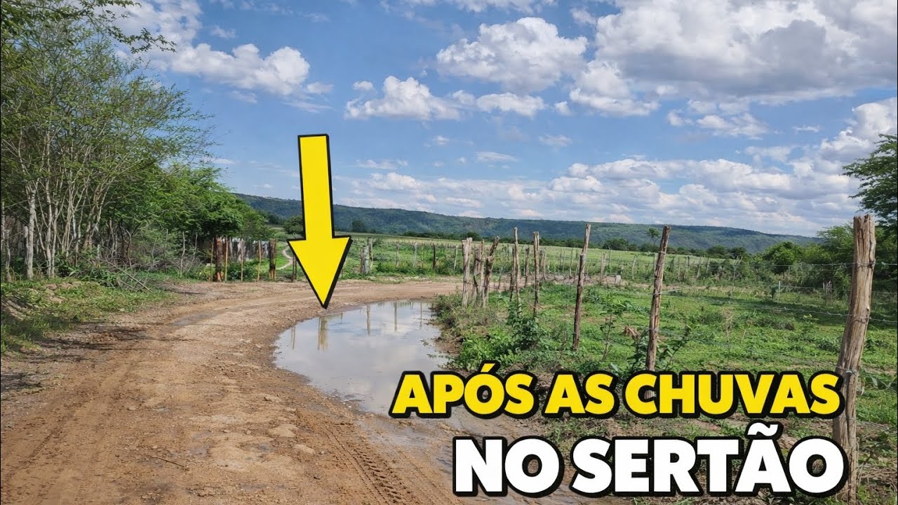 O SERTÃO DE PERNAMBUCO APÓS AS CHUVAS DE FEVEREIRO/ TROVOADAS 2026