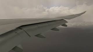 Airbus A330 lands at Frankfurt [Wing View]