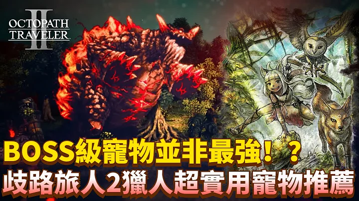 BOSS寵並非最強！？【歧路旅人2】獵人超實用寵物推薦 | 歧路旅人2 | Octopath Traveler 2丨八方旅人2 - 天天要聞