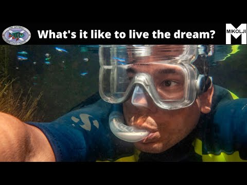 What’s it like to live the Fishkeepers dream? Mikolji interview by the Lothian Fishkeeper Channel
