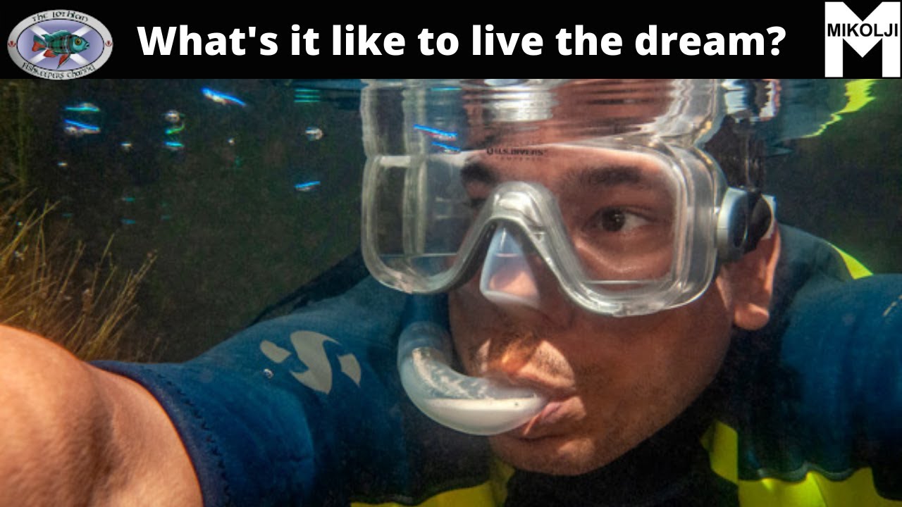 Каково это — жить мечтой Fishkeepers? Интервью с Миколджи для канала Lothian Fishkeeper.