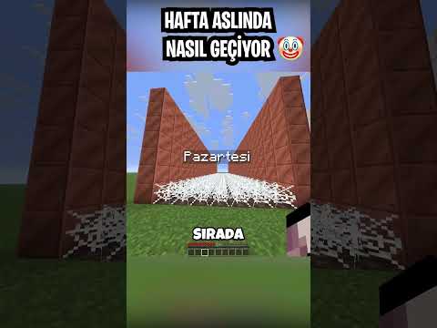 Bir Hafta Nasıl Geçiyor? (Pazartesi BİTMİYOR)💀🤡 #shorts