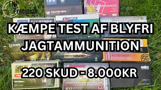 Præcisionstest af 6.5 Creedmoor blyfri jagtammunition