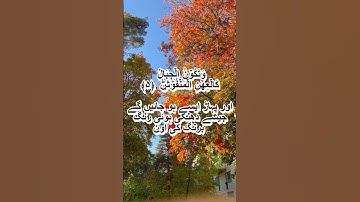 Surah Al Qari'a (سورة القارعة) with Urdu Translation