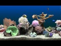 Marine Aquarium Virtual Fishtank