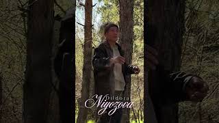 Dildora Niyozova - Yolgon Dunyo