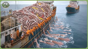 The World’s Biggest Catch - How Fishermen Haul 98 Million Tons of Seafood Each Year