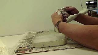 step 5   plaster skin