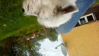 Kevin Goes Flumm