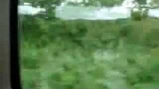 Peter Green & Fleetwood Mac - First Train Home