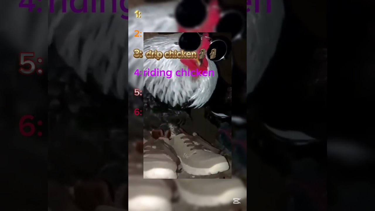 RANKING TOP 6 CHICKEN MOMENTS 