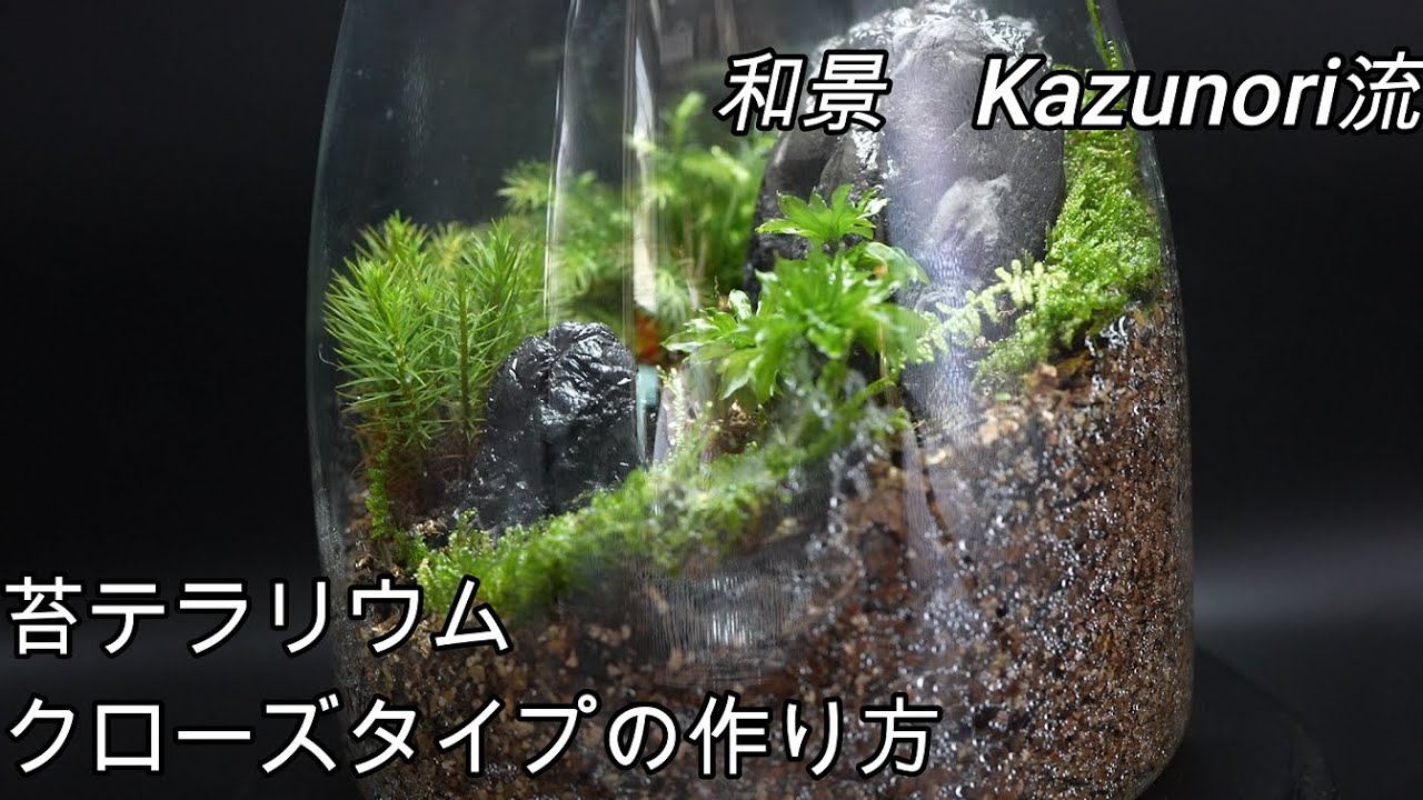 初めて作るならクローズタイプ！苔テラリウムクローズタイプの作り方 
