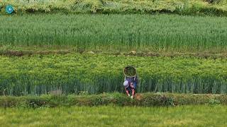 Life and natural beauty in the mountain villages of Yunnan, China