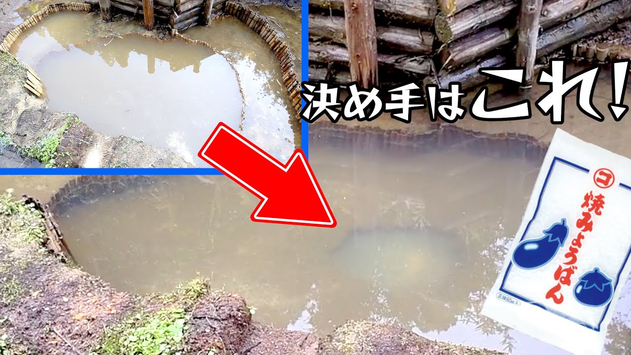 【ビオトープ】泥で濁った池もこれで一発解決!簡単に透明になります!【DIY】 - YouTube