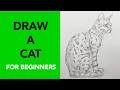 Easy stepbystep way to draw a cat  drawing tutorial for beginners