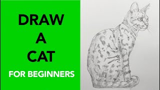 Easy step-by-step way to draw a cat | Drawing Tutorial for Beginners