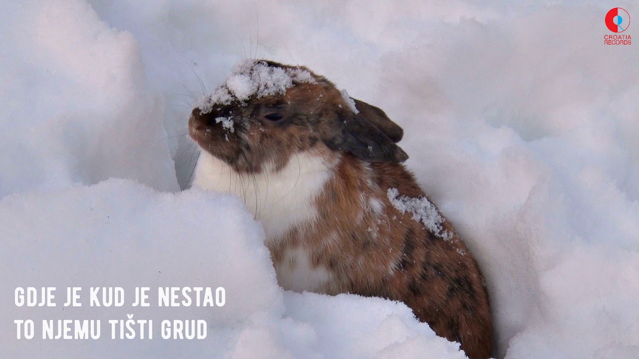 Zdenka Vučković - Zeko i potočić