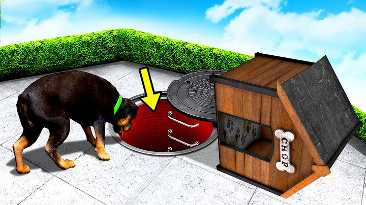 I Found A TUNNEL Under CHOP'S KENNEL in GTA 5!