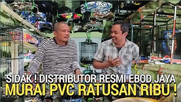 SUPER MURAH ! SANGKAR BERKUALITAS EBOD PVC CUMA RATUSAN RIBU SANGKAR MURAI BATU