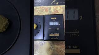 RAW GOLD: #goldbusiness #goldmining #goldshorts
